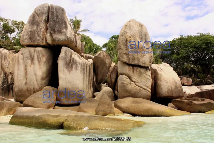 : Rocks on beach at Coco Island : Rocks on beach at Coco Island