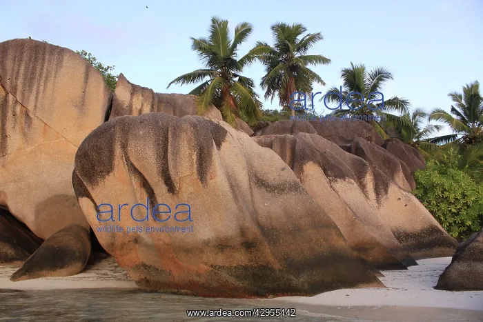 : Rocks on beach at Source d`Argent : Rocks on beach at Source d`Argent
