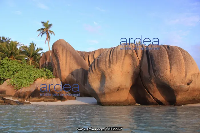 : Rocks on beach at Source d`Argent : Rocks on beach at Source d`Argent