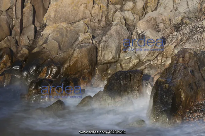 : Rocks and cliffs at the coast of Visitgrotta - Kullaberg : Rocks and cliffs at the coast of Visitgrotta - Kullaberg