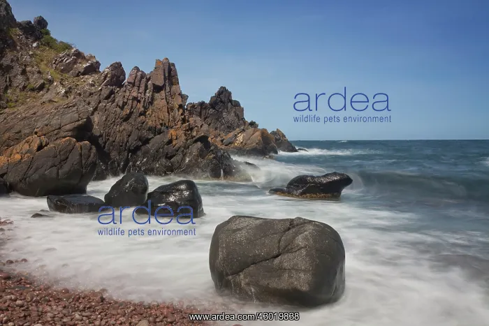  : Rocks and Coastal Cliffs