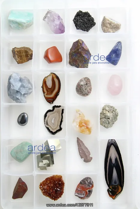 : Rocks and Minerals : Rocks and Minerals