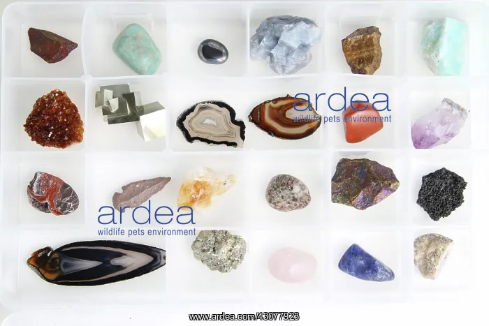 : Rocks and Minerals : Rocks and Minerals