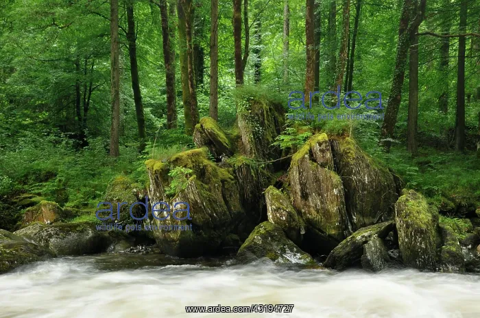 : Rocks at the River Llugwy or Afon Llugwy, Betws-y-Coed : Rocks at the River Llugwy or Afon Llugwy, Betws-y-Coed
