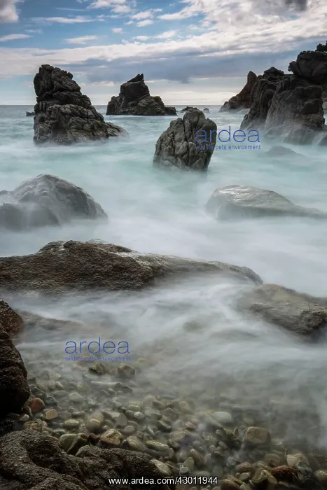  : Rocks on the sea