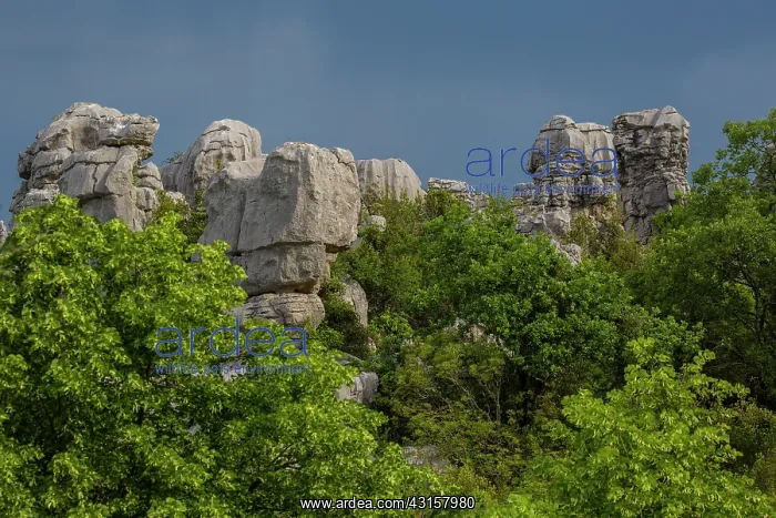 : Rocks sea of Sauve - Sauve - France Gard- : Rocks sea of Sauve - Sauve - France Gard-
