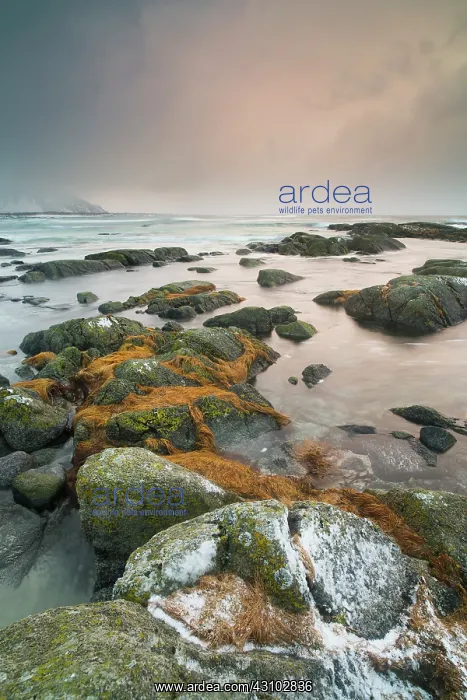 : Rocks in the sea by sunset, Norway : Rocks in the sea by sunset, Norway