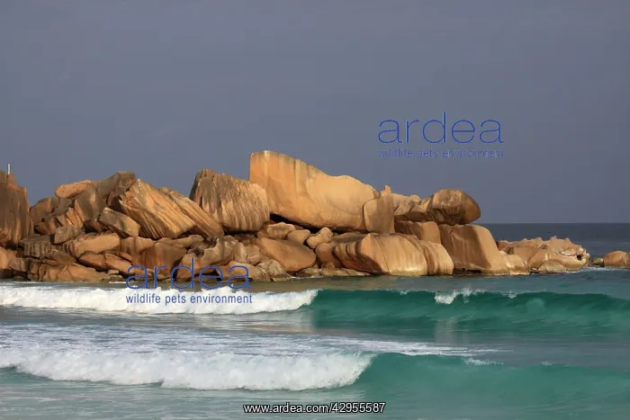 : Rocks and waves at Grande Anse : Rocks and waves at Grande Anse