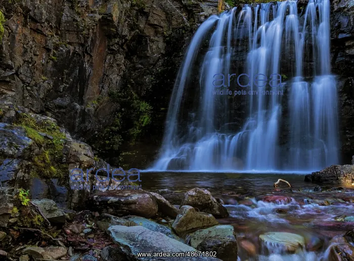: Rockwell Falls in Glacier National Park, Montana, USA : Rockwell Falls in Glacier National Park, Montana, USA