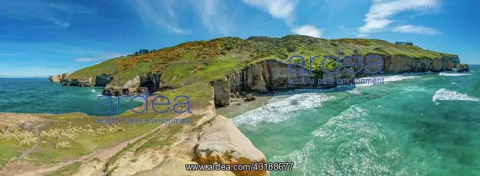 : Rocky cliffs of sandstone rocks, Tunnel Beach, Otago : Rocky cliffs of sandstone rocks, Tunnel Beach, Otago