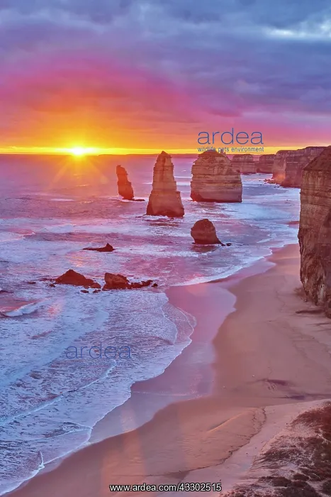 : Rocky coast with the Twelve Apostles at sunset : Rocky coast with the Twelve Apostles at sunset