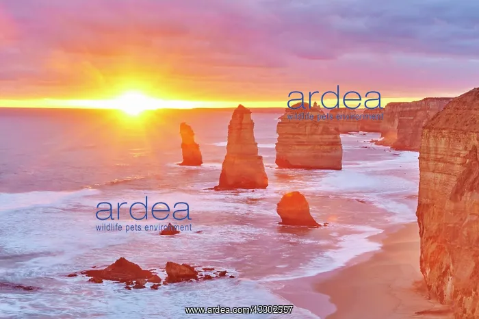 : Rocky coast with the Twelve Apostles at sunset : Rocky coast with the Twelve Apostles at sunset