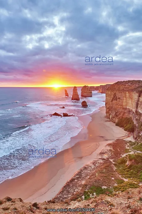 : Rocky coast with the Twelve Apostles at sunset : Rocky coast with the Twelve Apostles at sunset