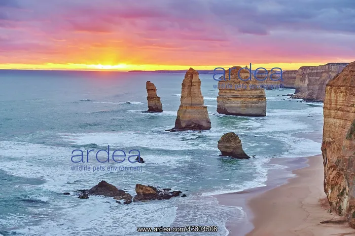 : Rocky coast with the Twelve Apostles at sunset : Rocky coast with the Twelve Apostles at sunset
