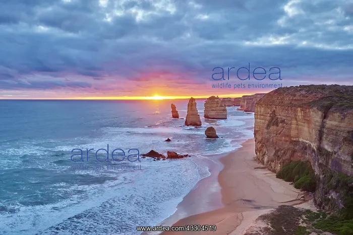 : Rocky coast with the Twelve Apostles at sunset : Rocky coast with the Twelve Apostles at sunset