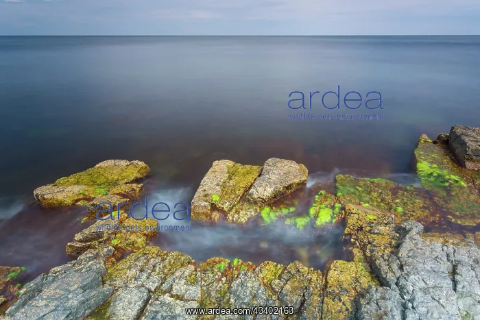 : Rocky coast at the Baltic Sea near Vik - Sweden : Rocky coast at the Baltic Sea near Vik - Sweden