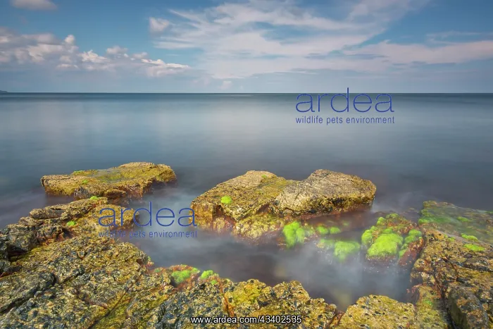 : Rocky coast at the Baltic Sea near Vik - Sweden : Rocky coast at the Baltic Sea near Vik - Sweden