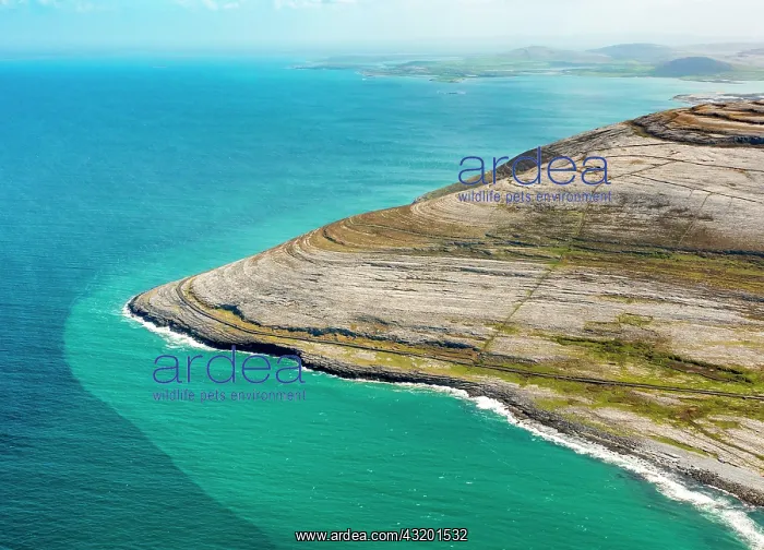 : Rocky coast of Black Head, in the north of Doolin : Rocky coast of Black Head, in the north of Doolin