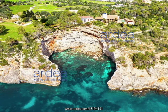 : Rocky coast between Cala Llombards and Cala Santayi : Rocky coast between Cala Llombards and Cala Santayi