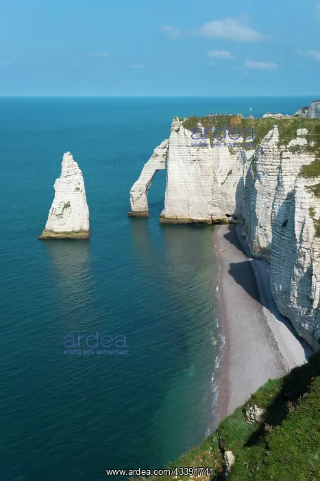 : Rocky coast, cliffs, chalk cliffs, Porte d'Aval : Rocky coast, cliffs, chalk cliffs, Porte d'Aval