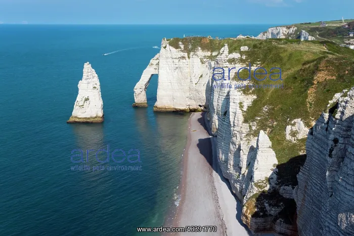 : Rocky coast, cliffs, chalk cliffs, Porte d'Aval : Rocky coast, cliffs, chalk cliffs, Porte d'Aval