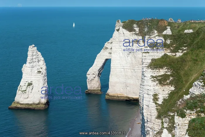 : Rocky coast, cliffs, chalk cliffs, Porte d'Aval : Rocky coast, cliffs, chalk cliffs, Porte d'Aval