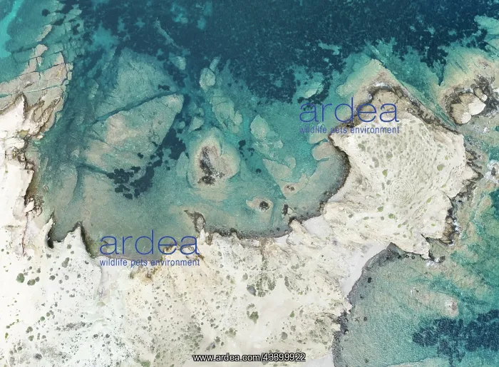 : Rocky coast detail. Aerial view. Drone shot. Nature : Rocky coast detail. Aerial view. Drone shot. Nature