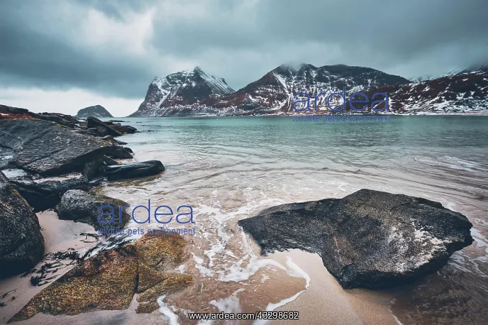 : Rocky coast of fjord of Norwegian sea in winter : Rocky coast of fjord of Norwegian sea in winter