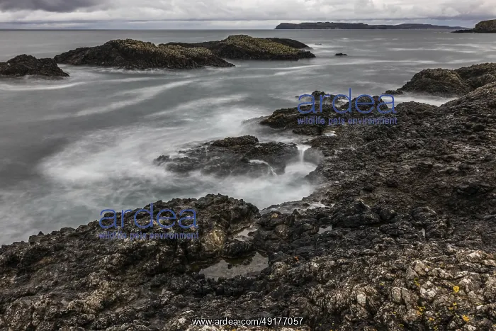 : Rocky coast, offshore islands, Ballintoy Harbour : Rocky coast, offshore islands, Ballintoy Harbour