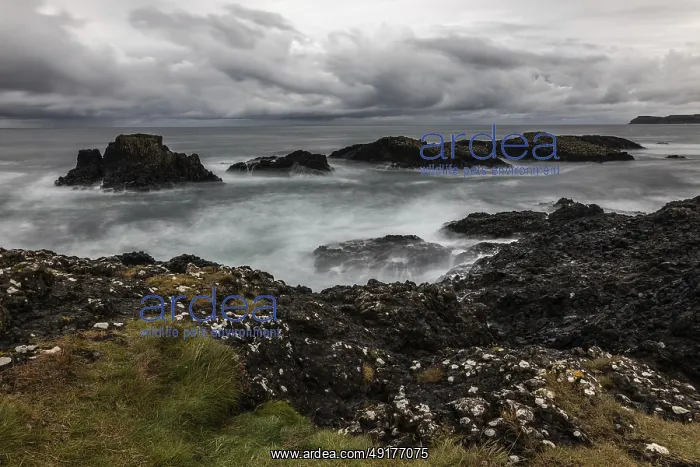: Rocky coast, offshore islands, Ballintoy Harbour : Rocky coast, offshore islands, Ballintoy Harbour