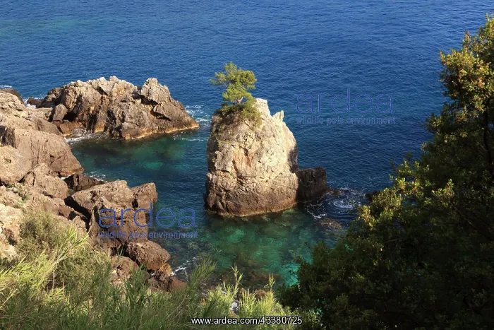 : Rocky coast of Paleokastritia, Corfu, Ionian Islands : Rocky coast of Paleokastritia, Corfu, Ionian Islands