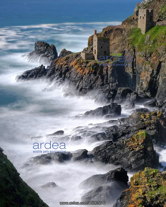  : Rocky coast with ruins, former mine, old tin mine