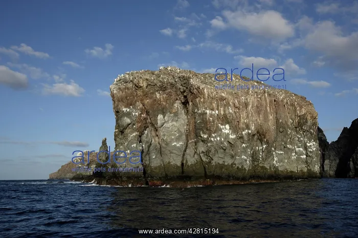 : Rocky Coast on San Benedicto island Revillagigedo Socorro Is : Rocky Coast on San Benedicto island Revillagigedo Socorro Is