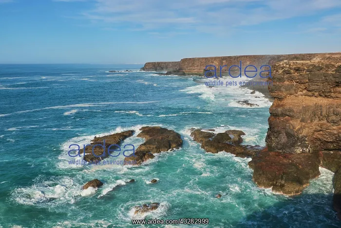 : Rocky coast with strong surf, cliffs on the beach : Rocky coast with strong surf, cliffs on the beach