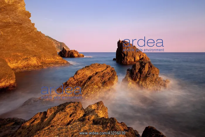 : Rocky coastline near Manarola, Cinque Terre : Rocky coastline near Manarola, Cinque Terre
