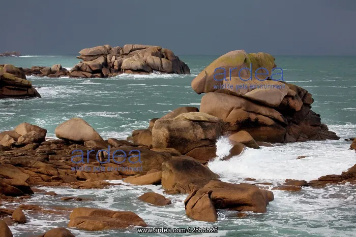 : Rocky coastline - Ploumanach, Brittany, France