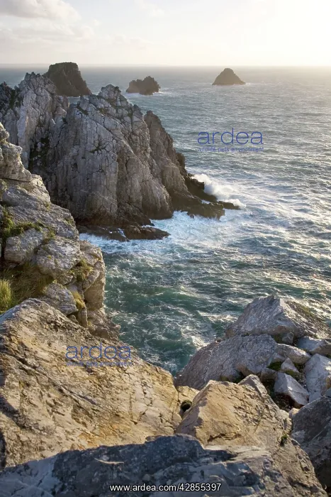 : Rocky coastline, Pointe Pen Hir, Brittany, France : Rocky coastline, Pointe Pen Hir, Brittany, France
