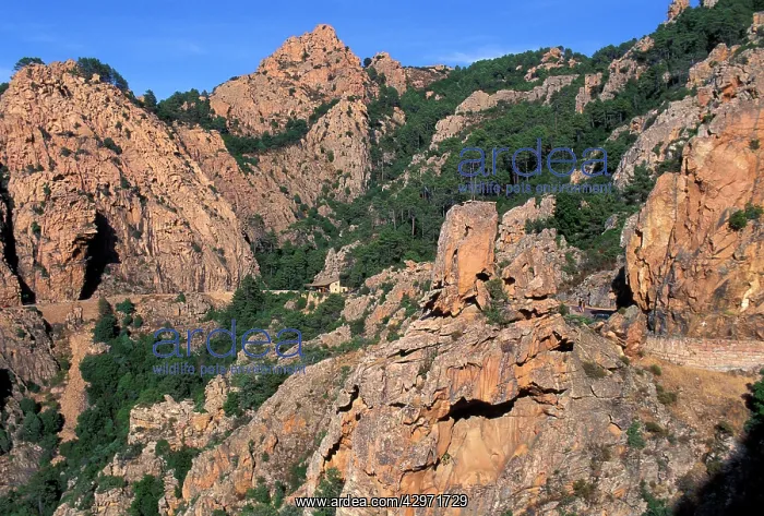 : Rocky formation on mountain-side : Rocky formation on mountain-side