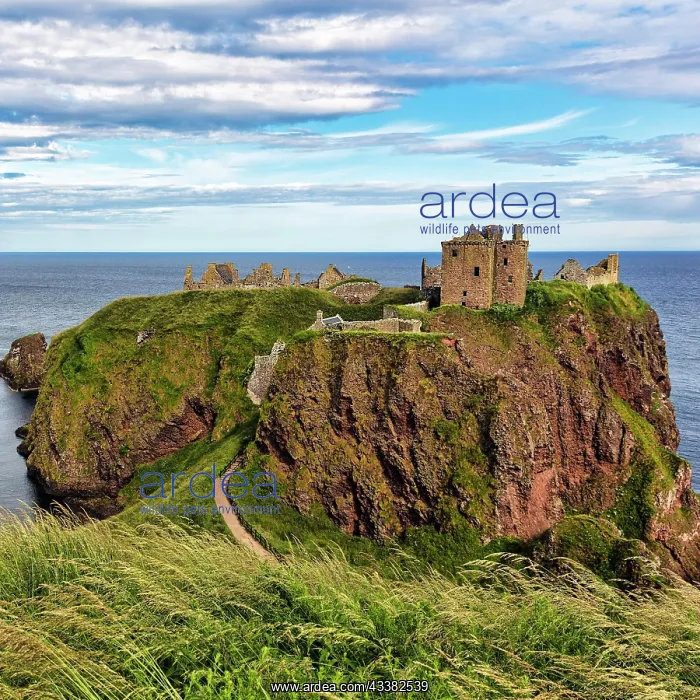 : Rocky headland with castle ruins, Dunnottar Castle : Rocky headland with castle ruins, Dunnottar Castle