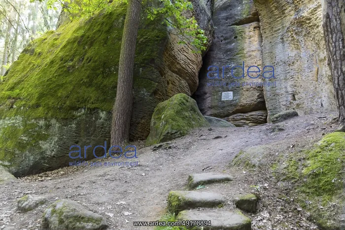 : Rocky landscape at the Diebskeller or Gotzinger Cave at the Kleiner Barenstein : Rocky landscape at the Diebskeller or Gotzinger Cave at the Kleiner Barenstein