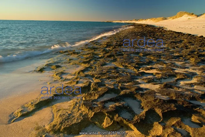 : Rocky ledges and beach - water washes over exposed : Rocky ledges and beach - water washes over exposed