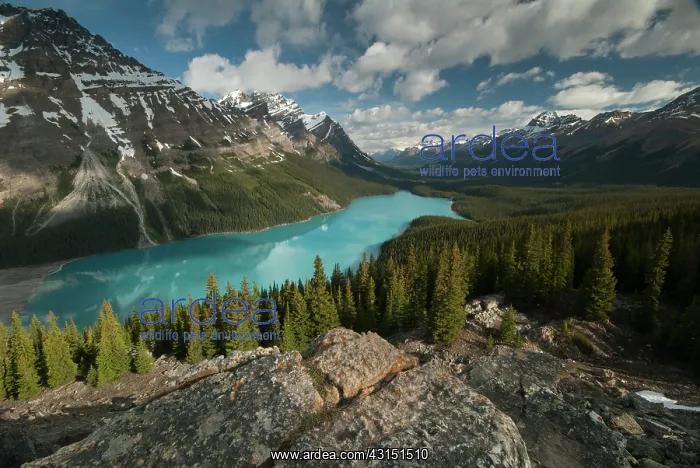 : Rocky mountains across Peyto Lake : Rocky mountains across Peyto Lake