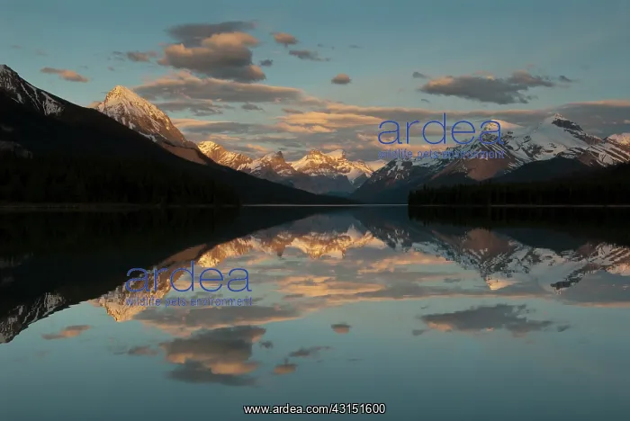 : Rocky mountains reflected in Maligne Lake : Rocky mountains reflected in Maligne Lake