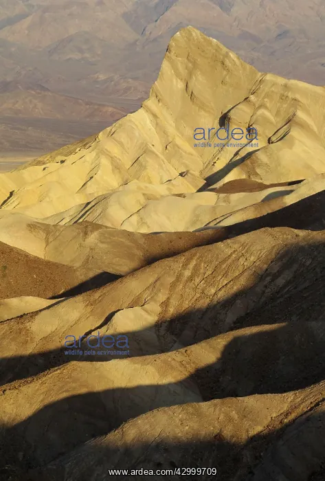  : The rocky outcrop of Manly Beacon rises above the