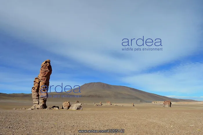 : Rocky outcrop of the Monjes de la Pacana in the : Rocky outcrop of the Monjes de la Pacana in the