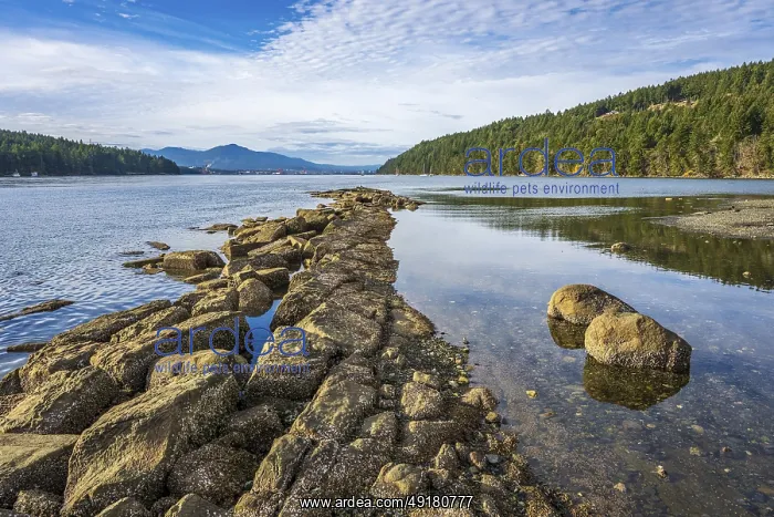 : A rocky promontory in Northumberland Channel on the west side of Gabriola Island