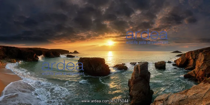 : Rocky shore of Port Goulom at sunset, Saint-Pierre-Quiberon : Rocky shore of Port Goulom at sunset, Saint-Pierre-Quiberon