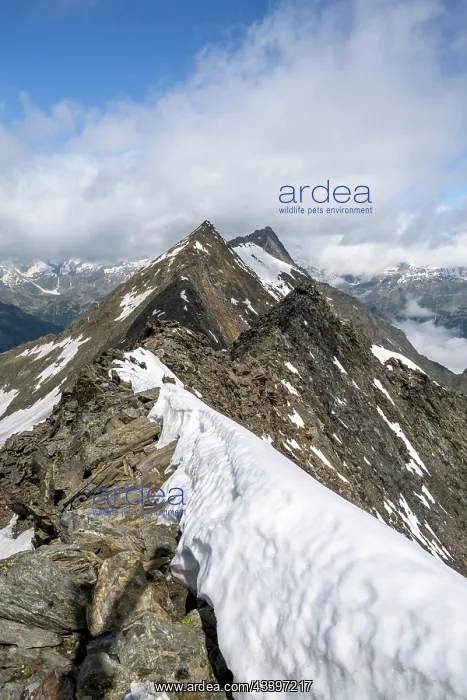 : Rocky summit with snow, summit of the Schnnbichler : Rocky summit with snow, summit of the Schnnbichler