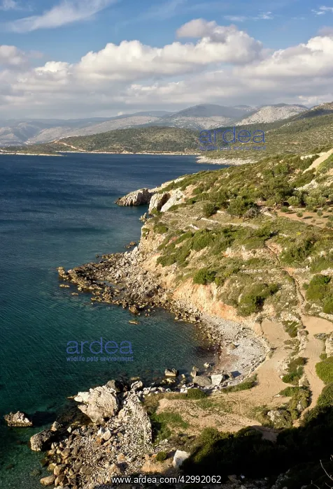 : Rocky undeveloped west coast of Chios : Rocky undeveloped west coast of Chios