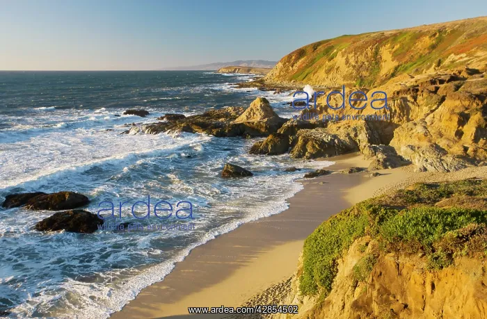 : Rocky unspoilt Pacific Ocean coast at Bodega Bay : Rocky unspoilt Pacific Ocean coast at Bodega Bay